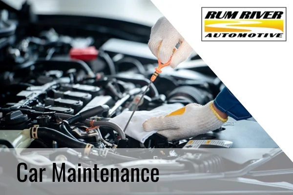 how often should you get your car maintenance
